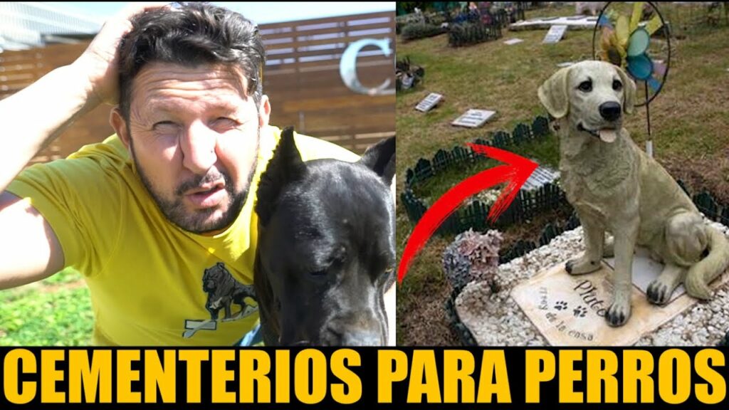 cuanto cuesta incinerar un perro