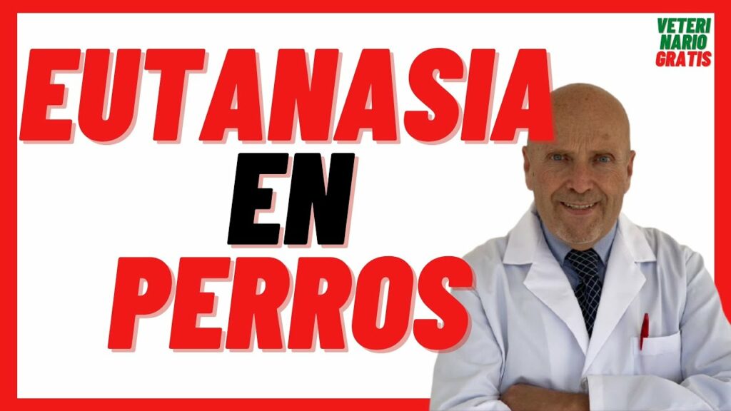 que medicamento usan los veterinarios para sacrificar perros